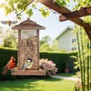 LBTING Bird Feeder for Outside, Metal Lantern-Shaped Bird Feeder, Squirrel