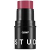 Cyzone Multi Stick Studio Look– Maquillaje Multifuncional para Ojos y