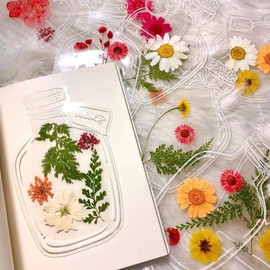 Generic Dried Flower Bookmarks Kit,40PCS Transparent Dried Pressed Flower Bookmarks and 12PCS Small Dried Flowers,Beautiful Dried Flower Bookmark Set for DIY Handmade (40PCS*12PCS)