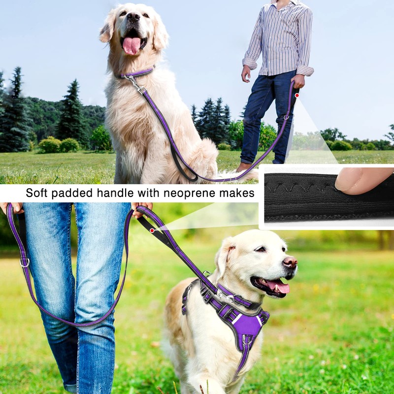 WINSEE Pet Harness Collar and Leash Set, All-in-one Reflective Dog