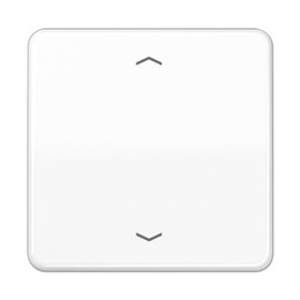 Jung CD590PWW Single Rocker for BA switch.