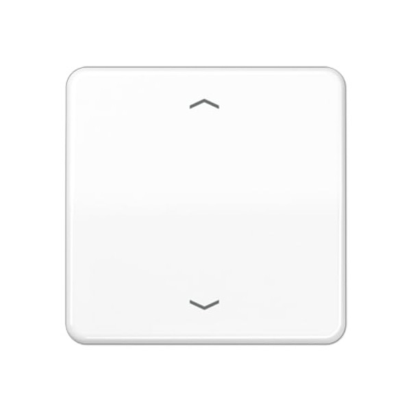 Jung CD590PWW Single Rocker for BA switch.