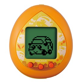 CHICKEN CHICKEN Molkachi Orange Color