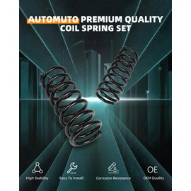 AUTOMUTO 2PCS Rear Suspension Coil Spring Set Compatible with 2002-2007 for Saturn Vue - Replace 81393 Coil Springs