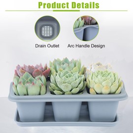 Oliz Succulent Pots, 8 Pcs Mini Flower Plant Containers for Succulent Cactus Flower, Indoor Outdoor Succulent Plant Pots with Tray, for Home Garden Kitchen Decor (Grey, 6 * 8.7 inch)