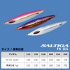 Daiwa Saltiga FK Jig Lure, Metal Jig