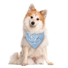 Big Sister Light Blue Dog Bandana for Large Dogs: Triangle Scarf - Baby Announcement, Dog Scarf Accessories (L)