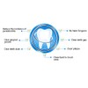 Palillos de dientes de 1100 piezas, palillo de dientes de