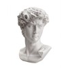 Waldosia 6 Inch Michelangelo's David Bust Statue (White)