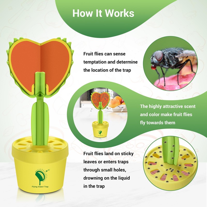 Fruit Fly Trap for Indoor, Fruit Fly Sticky Traps Gnat