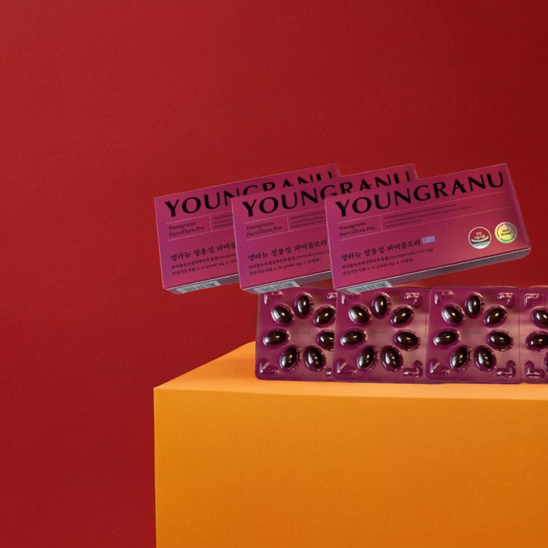 Mongul Cloud Partners Youngranyu Enteric Coating Fabiflora Black Ginger Extract