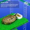 Adjustable Hanging Turtle Dock with Anti-Slip Artificial Grass Basking Platform