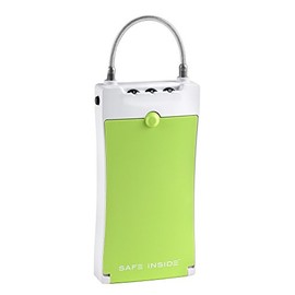 SafeInside 4500G Portable Security Case for Securing Small Items with 3-Digit Combination Lock, Green