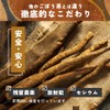 Wakuwakuen Burdock Tea Bag (100 Packs) Made in Japan, Decaffeinated