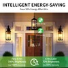 Qualilux Dusk to Dawn Light Bulbs, Auto On/Off Light Sensing