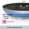 Chantal Nonstick 8 inch Stripes Fry pan, Brushed Stainless Steel,