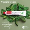 Red Seal Complete Care Mild Mint Toothpaste, NATRUE Certified Natural