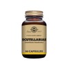 Solgar Scutellariae Vegetable Capsules - Pack of 50 - Fresh