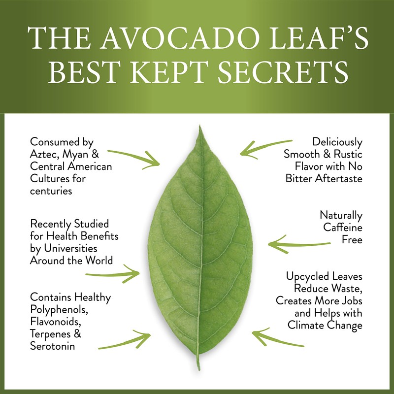 Avocado Leaf Tea Sampler Set | 4 Sachets - 8