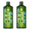 Set 2 Shampoo Anticaspa - Controla Y Elimina La Caspa