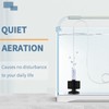 Pawfly Aquarium Bio Sponge Filter Quiet Betta Fry Shrimp and
