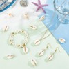 Beebeecraft 1 Box 30Pcs Natural Shell Charms Bulk Summer Ocean