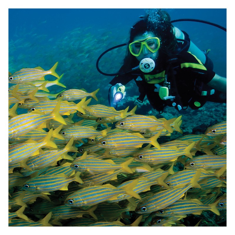 Underwater Kinetics SL4 eLED MK2 Dive Light, Safety Yellow (Includes