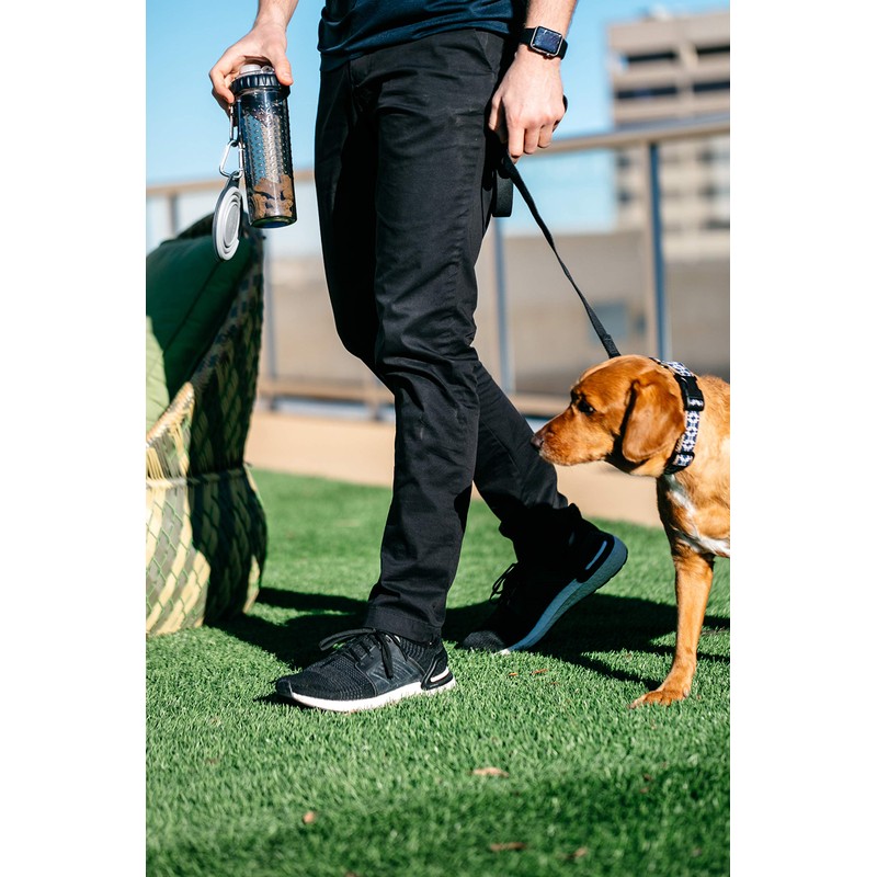 Dexas Popware for Pets Snack Duo Dual Chambered Hydration Bottle