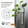 LCPCX Mini vase Magnets for Fridge, Magnetic Test Tube Vase
