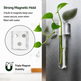 LCPCX Mini vase Magnets for Fridge, Magnetic Test Tube Vase Set of 6