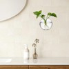 LOLYSIC 8PCS Wall Mounted Vase, Glass Wall Vase Propagation Wallmount