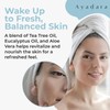 Cystic Acne Spot Cream Overnight Hormone for Acne-Prone Skin Sulfur