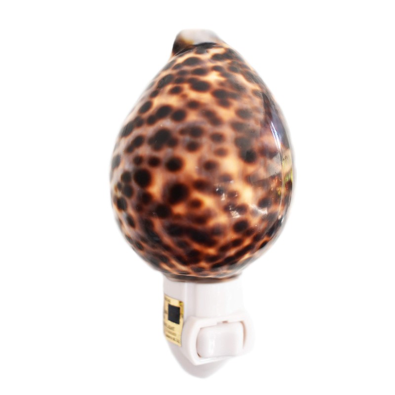 Real Seashell Night Light Tiger Cowrie Shell Decorative Beach Decor