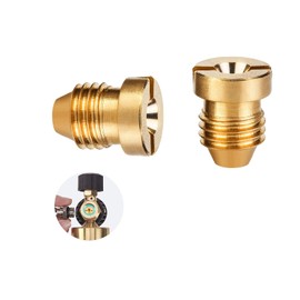 Foam Cannon Orifice Nozzle Tips, 1.2mm Universal Connector for Foam Sprayer, Washer Replacement Nozzles, 1.2 mm Precision Foam Cannon Orifice for Car Wash and Garden Hose Use(2Pcs)