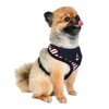 Puppia Harness for Dogs Seaman Harness A