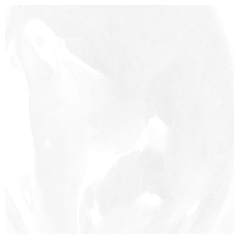 AOU Glowy Tint Balm 3.5g - 12 PURE BALM