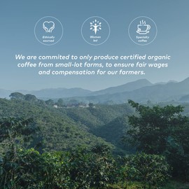 GRANA Espresso Capsules | Coffee Caps Nespresso Compatible with Original Line Machines, 40 Count | 100% Compostable & Biodegradable, Arabica Coffee| 4 Boxes of La Hermosa - La Libertad