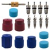 Qblahip 17Pcs Air Conditioning Valve Core Kit | Car &
