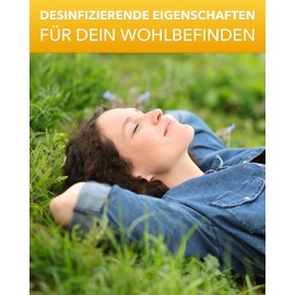 NORDBIENCHEN Propolis Tincture with 40% Propolis from Own Beekeeping - 20 ml Propolis Drops Bees Propolis Extract - Propolis Tincture - Beekeeper Quality