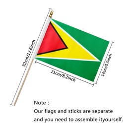 TSMD Guyana Stick Flag Guyanese Small Mini Hand Held Flags,5x8 Inch,12 Pack