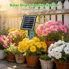 50FT Automatic Solar Drip Irrigation System, Solar Automatic Plant Waterer
