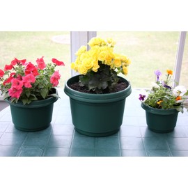 Austin Planter Pots and Saucers, 12 inch Black, Case of 5, Plastic Flower Pot, Seed Starting Pot with Saucers