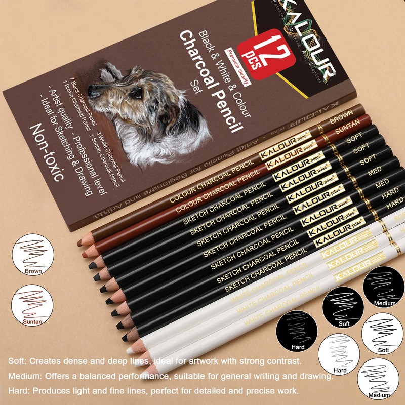KALOUR Pro Colored Charcoal Drawing Set,12 Pieces Pastel Chalk Pencils