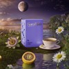 Kura Klub Nighttime Sleep & Relaxation Tea — Chamomile &