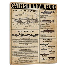 PAIION Tin Sign Catfish Knowledge Vintage Metal Sign Wall Decoration Metal Poster for Bar Cafe Club School Infographics 16x12 Inch