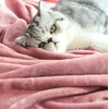 TASTHROW Cuddly Blanket, Soft Fleece Blanket, Sofa Throw, Soft and