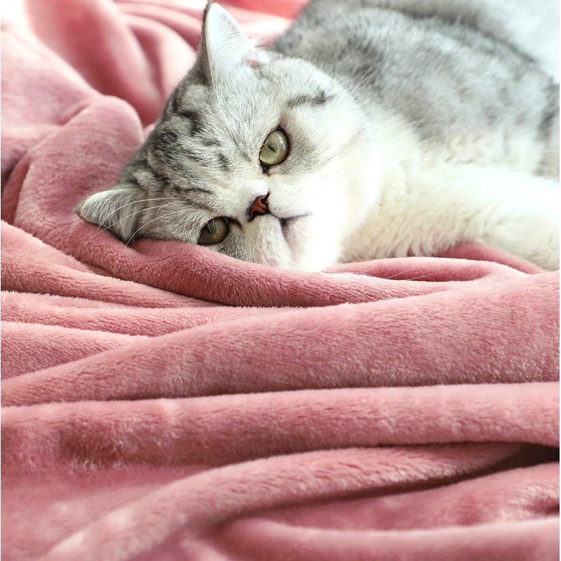 TASTHROW Cuddly Blanket, Soft Fleece Blanket, Sofa Throw, Soft and