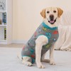 kzrfojy Recovery Suit for Dogs After Surgery Dog Recovery Suit