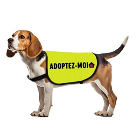 Dog Adoption Jacket Vest Adoptez-Moi Dog Harness Rescue Pitbull Slogan Vest (ADOPTEZ-MOI-Large)
