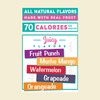 Arizona Fruit Snacks, Gluten Free Mixed Fruit Gummy Chews, 5